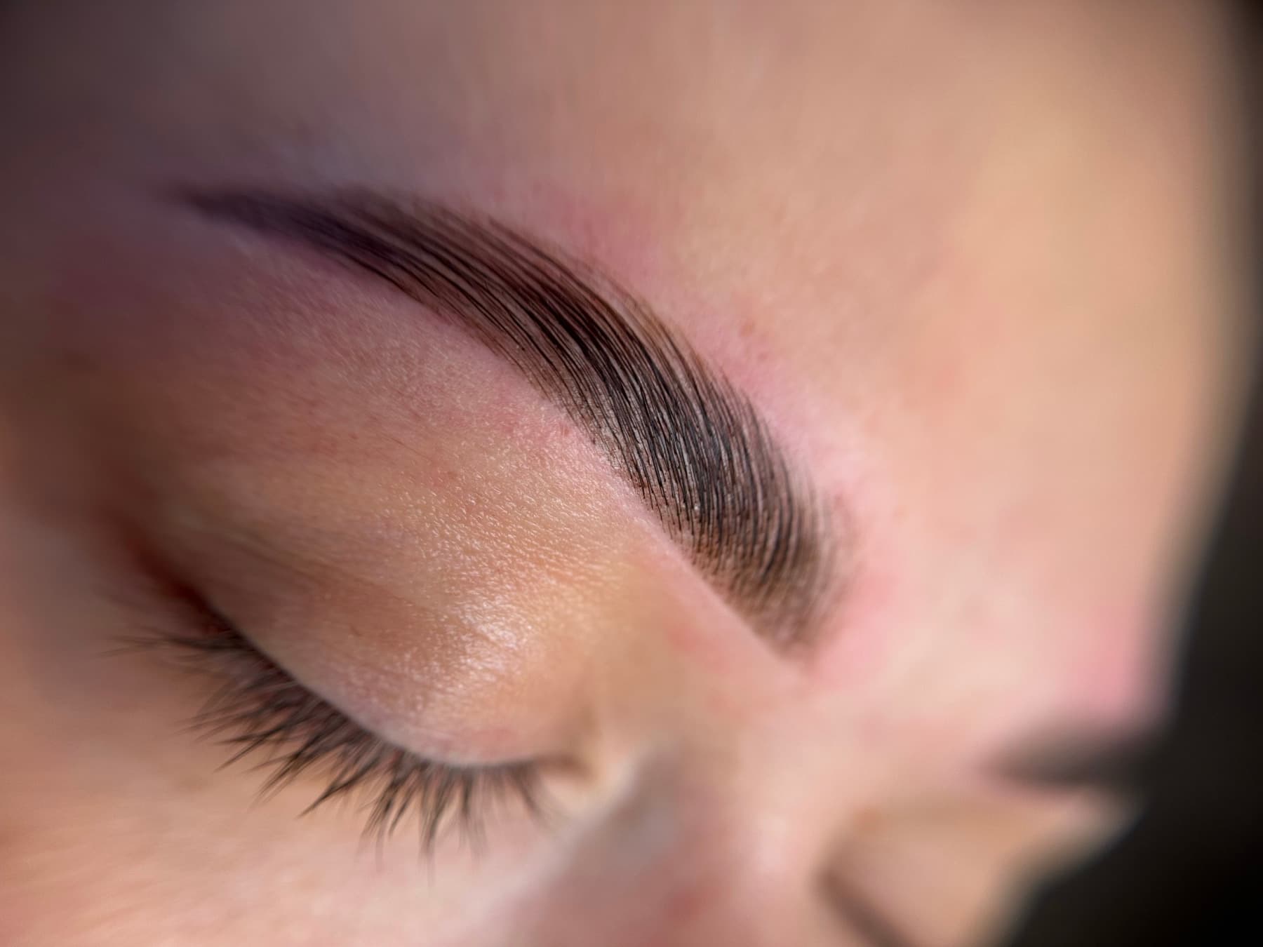 Løftede, oppoverbørstede bryn etter Brow Lamination — nærbilde fra studioet