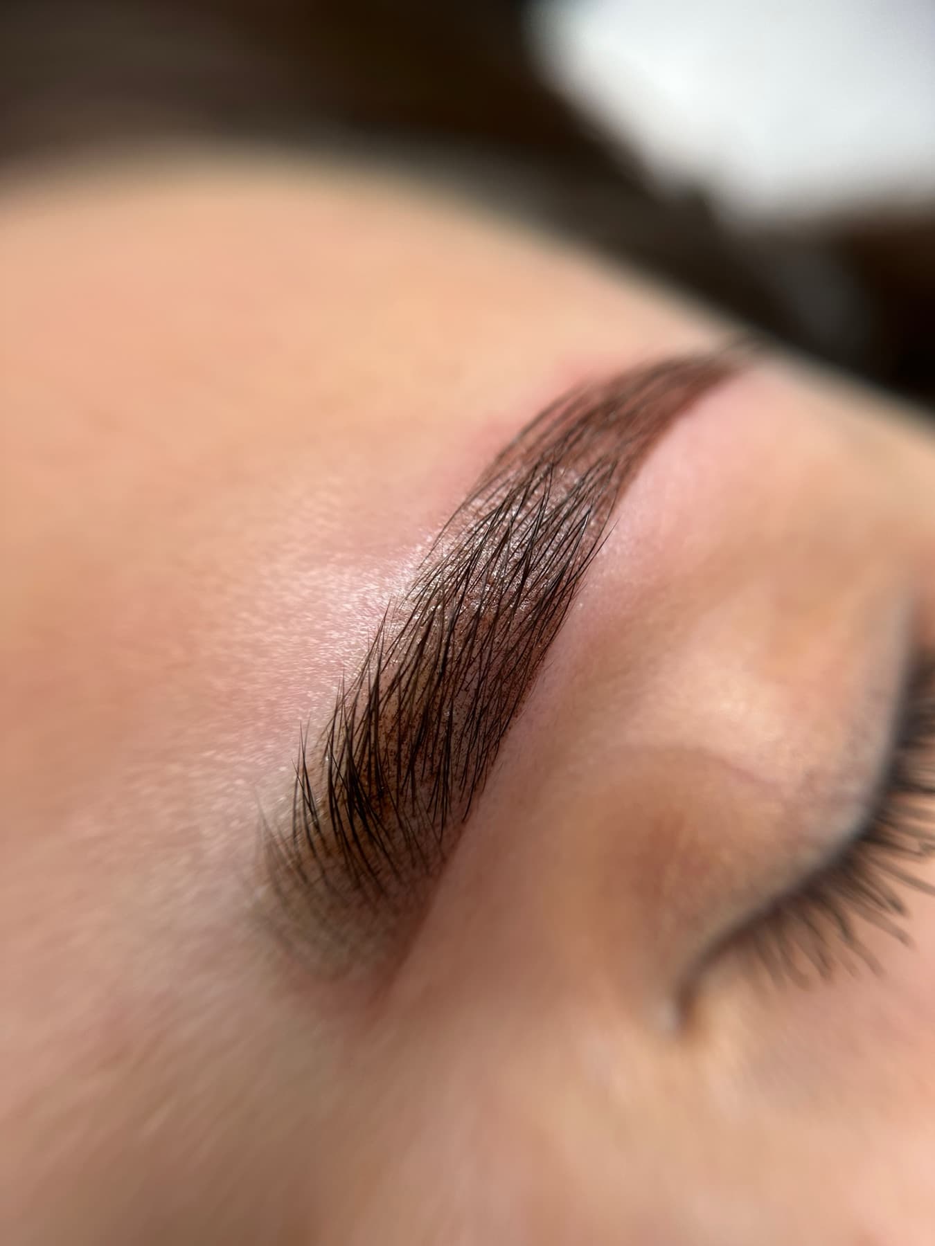 Close-up of natural brows with a clear hair-stroke effect after microblading